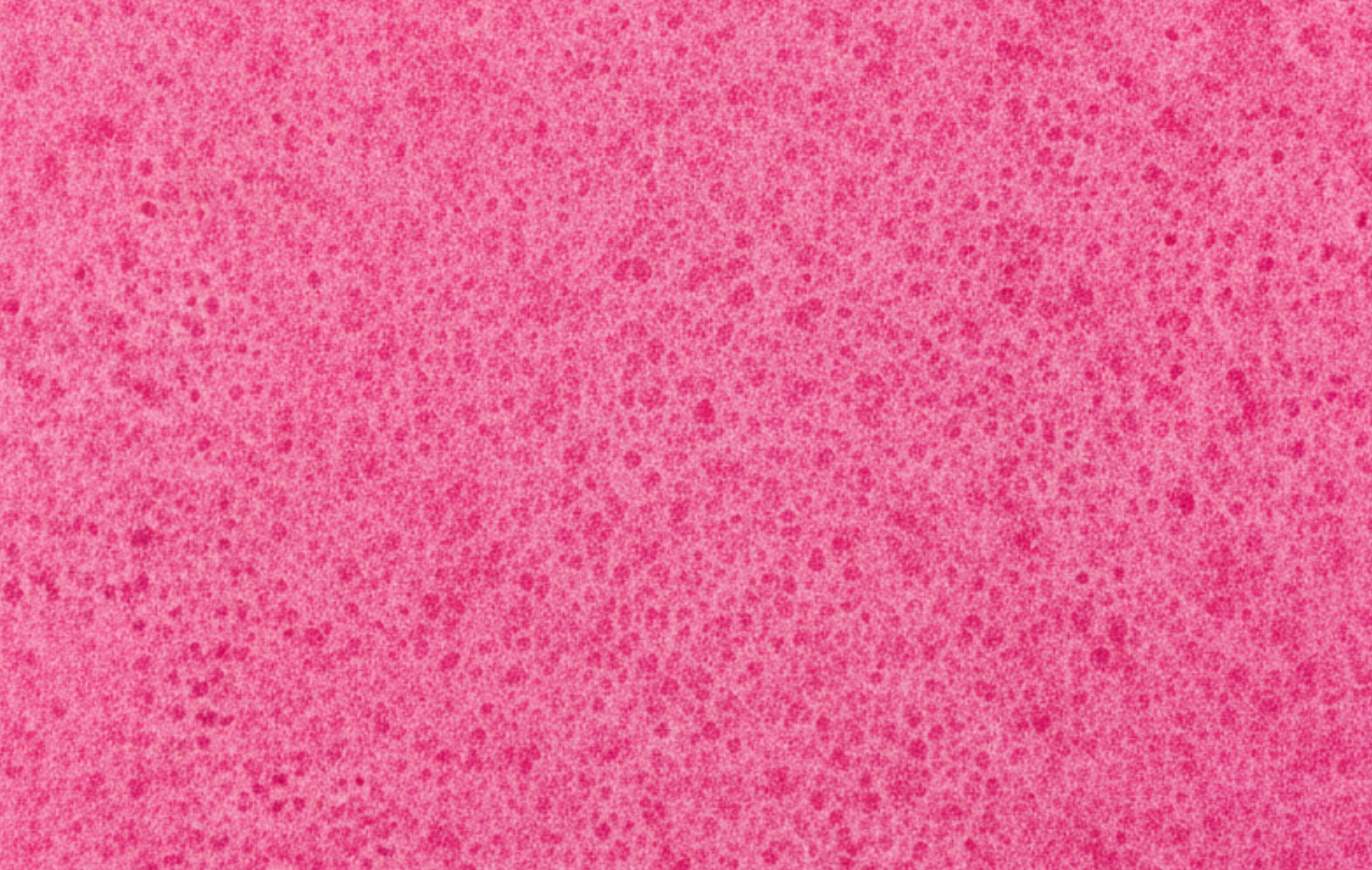 blender SPONGE