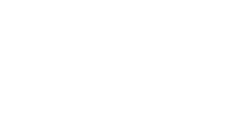 Bello Sponge